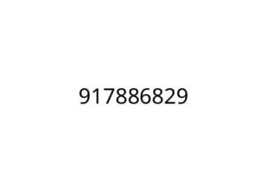 917886829