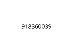 918360039