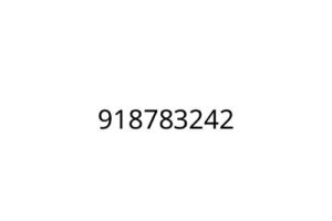 918783242