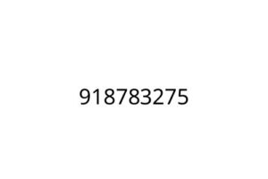 918783275