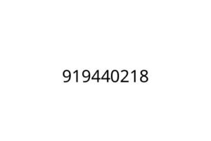 919440218