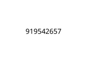 919542657