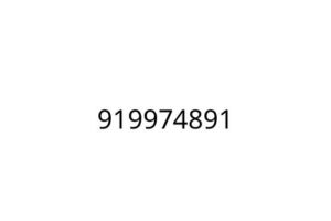 919974891