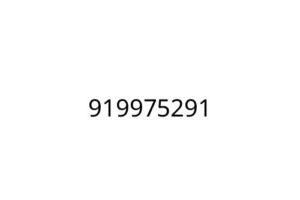 919975291