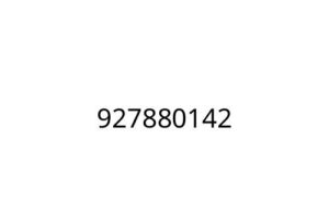 927880142