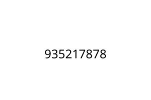 935217878