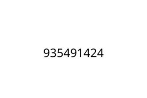 935491424