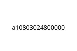 a10803024800000
