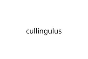 cullingulus
