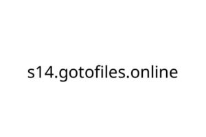 s14_gotofiles_online
