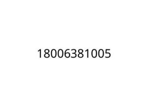 18006381005