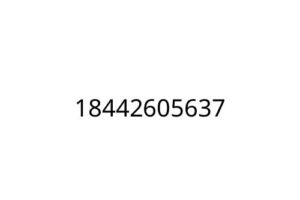 18442605637