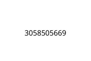 3058505669