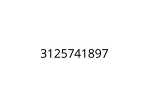 3125741897