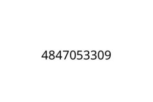 4847053309