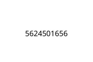 5624501656