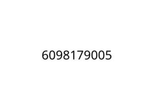 6098179005