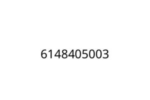 6148405003