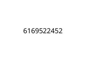 6169522452