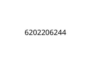 6202206244