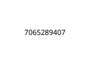 7065289407