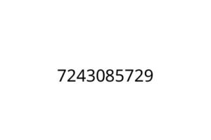 7243085729