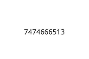 7474666513