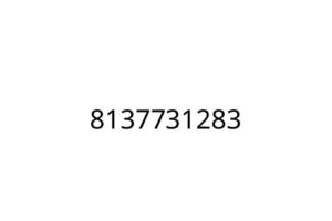 8137731283