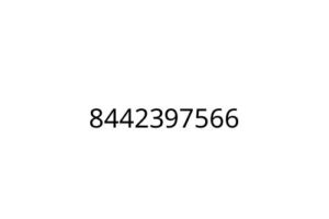 8442397566