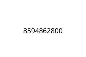 8594862800