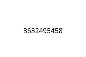 8632495458