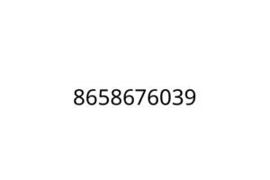8658676039