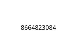 8664823084