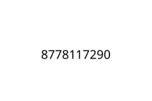 8778117290