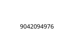 9042094976