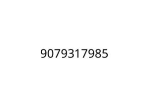 9079317985