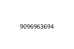9096963694