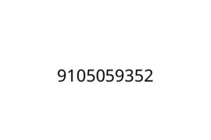 9105059352