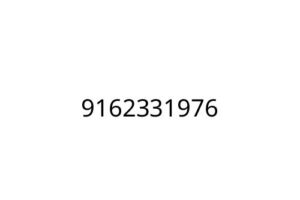 9162331976