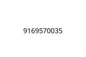 9169570035