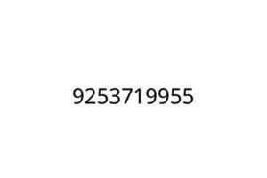 9253719955