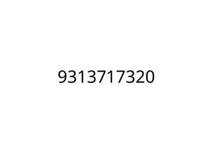 9313717320