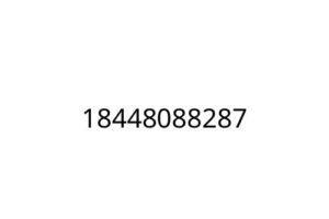 18448088287