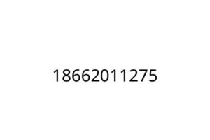 18662011275