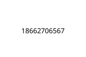 18662706567