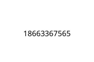 18663367565