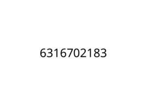 6316702183