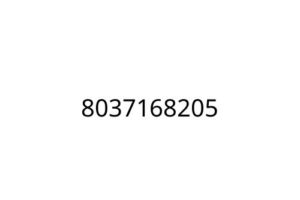 8037168205