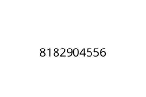 8182904556