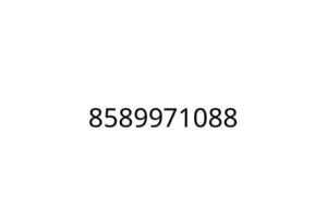 8589971088